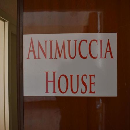 Casa Vacanze "Animuccia House" Roma Extérieur photo